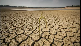Goa's Weak Monsoon Spell: A Weak Start Can Affect Landscapes