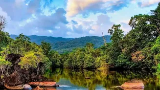 Monsoon Travel Trends Show Growing Interest In Assam's Natural Beauty