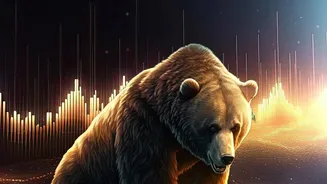 Volatile Stock Markets: What Beginners Should Understand About Risk