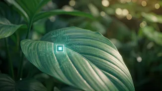 Chatting with Flora: Cambridge Botanic Garden's AI-Powered Plant Conversations