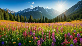 Trekkers Are Getting Ready For Bloom-Season Magic