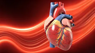 Exercise Lowers Blood Pressure in 5 Minutes.