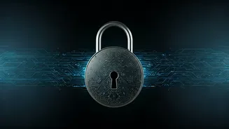 Understanding Bot Verification: Safeguarding Your Online Experience