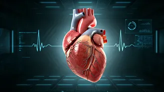 Heart Health: How Sleep Disruptions Impact Your Well-being