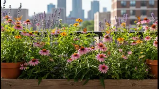 How green balcony makeovers foster biodiversity by attracting local butterflies to apartments