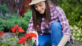 What Beginner Gardeners Should Know Before Growing Flowering Plants In Compact Outdoor Spaces