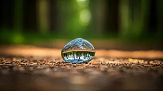 Finding Inner Peace: Forgiveness's Path