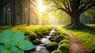Navigating Your Wellness Journey: Expert Insights for a Healthier You