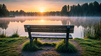 Navigating Grief: Understanding Loss and Finding Resilience