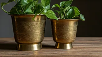 Bohemian Decor Feeds Are Loving These Upcycled Brass Planters