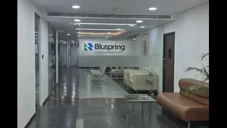 Bluspring targets over 20% annual growth post-demerger, revamps brand identity