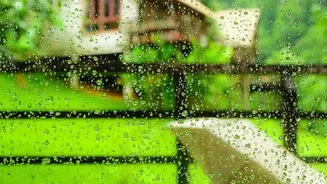 Monsoon Retreats In Wayanad: Explore Rainforest Homestays Safely In Heavy Rains