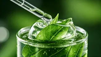 The New Anti-Frizz Skin Solutions: Botanical Infused Korean Gels