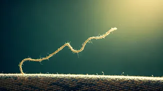 Unraveling the Threads: 7 Moments Karma's Grip Loosens