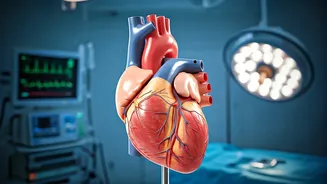 Sushmita Sen's Cardiac Procedure: Staying Conscious and Recovery