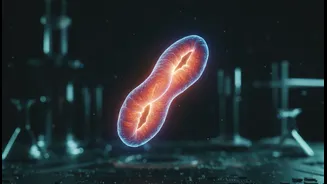 Microgravity Research Points To Mitochondria As A Challenge For Long Space Missions