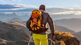 Nordic Walking's Fitness Revival Shows The Importance Of Gradual Pace