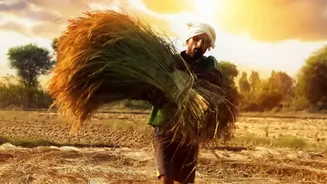 How Indian Farmers Are Watching Rainfall Ahead Of The Winter Growing Season
