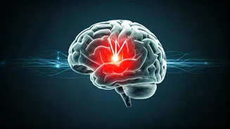 Stroke Alert: 25-Year Heart Surgeon Shares Critical Warning Signs & Why Minutes Are Brain Tissue