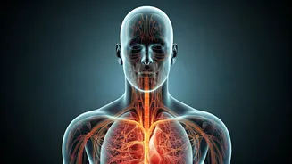 Your Body on a 48-Hour Water Fast: A Diabetologist's Deep Dive