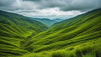 Monsoon Makes Every Mizoram View Better