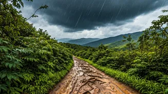 These Safety Habits Can Make Monsoon Treks Safer