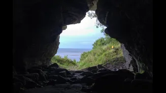Por que humanos levaram dois lobos selvagens para essa ilha remota há 5 mil anos?