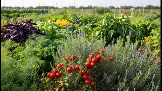 Edible Plants Can Add Fragrance, Texture And Practical Value