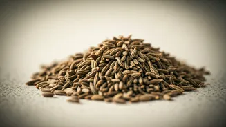 Smoothly Erase Afternoon Gas Using Simple Cumin Fennel Infusions