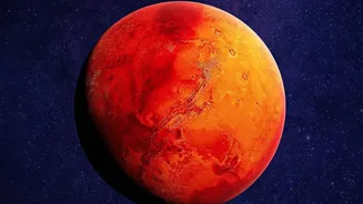 Phobos And Deimos Both Have Unusual Irregular Shapes