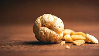 Makhana Makes Chips Look Outdated