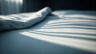 Bed Bug Blitz: Expert Hacks to Detect and Destroy Unwanted Travelers