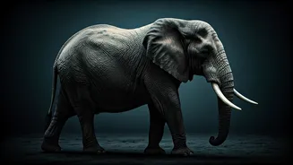 Related Stories banner