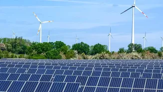 Young Investors Choose Sovereign Green Bonds For Fixed Returns And Renewable Infrastructure Impact