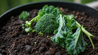 Urban Homes Are Turning Waste Into Garden Wealth