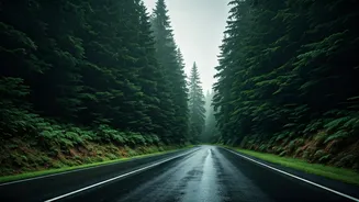 Rainy Routes Are Winning Traveller Hearts