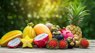 Vietnam: Your Ultimate Guide to Perfect Weather