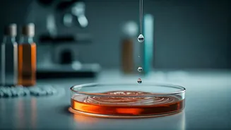 World Homeopathy Day 2026: Exploring Benefits, Risks, and Scientific Perspectives