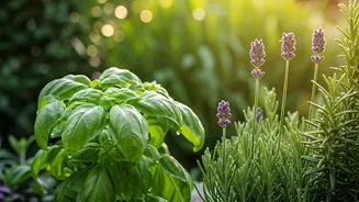 8 Natural Plant Guardians: Banish Lizards from Your Home & Garden!