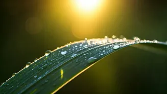 How Weather Impacts Oily Skin During July