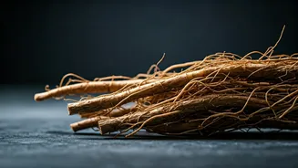 Cool Your Home This Week With Ancient Vetiver Root Water