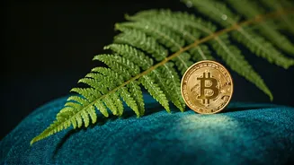 Related Stories banner