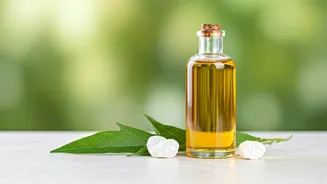 Unlock Faster Hair Growth: DIY Camphor Hair Oil for a Cooling Scalp Treat!