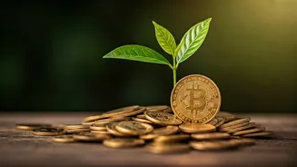 Low Costs Can Matter Over Long Horizons