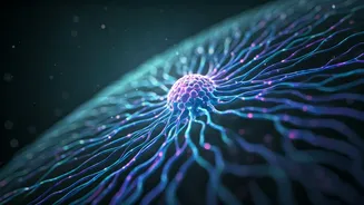 Schizophrenia Breakthrough: New Biomarker and Drug Target for Cognitive Symptoms Uncovered