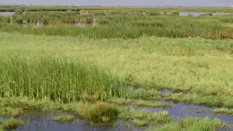 The Current Story Around India's Latest Ramsar Addition Highlights Wetland Protection Beyond The Plains