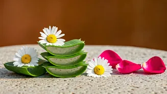 Natural Skincare Secrets for Radiant Skin