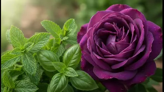 Mix Fresh Herbal Notes With One Richer Flowering Plant