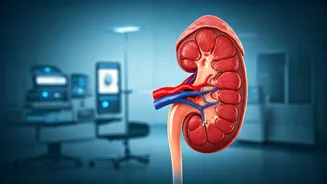 Kidney Health: Foods and Drinks to Avoid for a Healthy Life