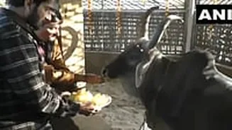 Sonu Sood Visits Varahi Gaushala In Gujarat, Donates ₹11 Lakh For Animal Welfare | Video